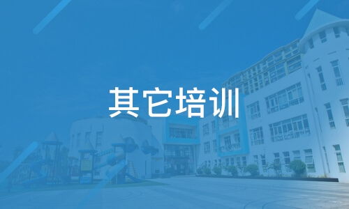 上海質遠信息技術服務與淘學培訓深度解析 靠譜嗎？