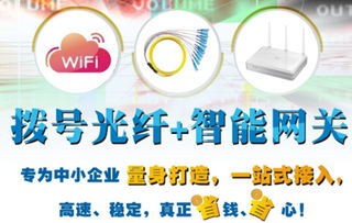 撥號桿上的數字魅影 信息技術服務如何賦能傳統商業